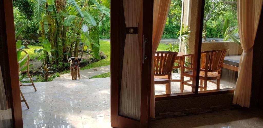 Mango Tree Inn Pemuteran Eksteriør billede