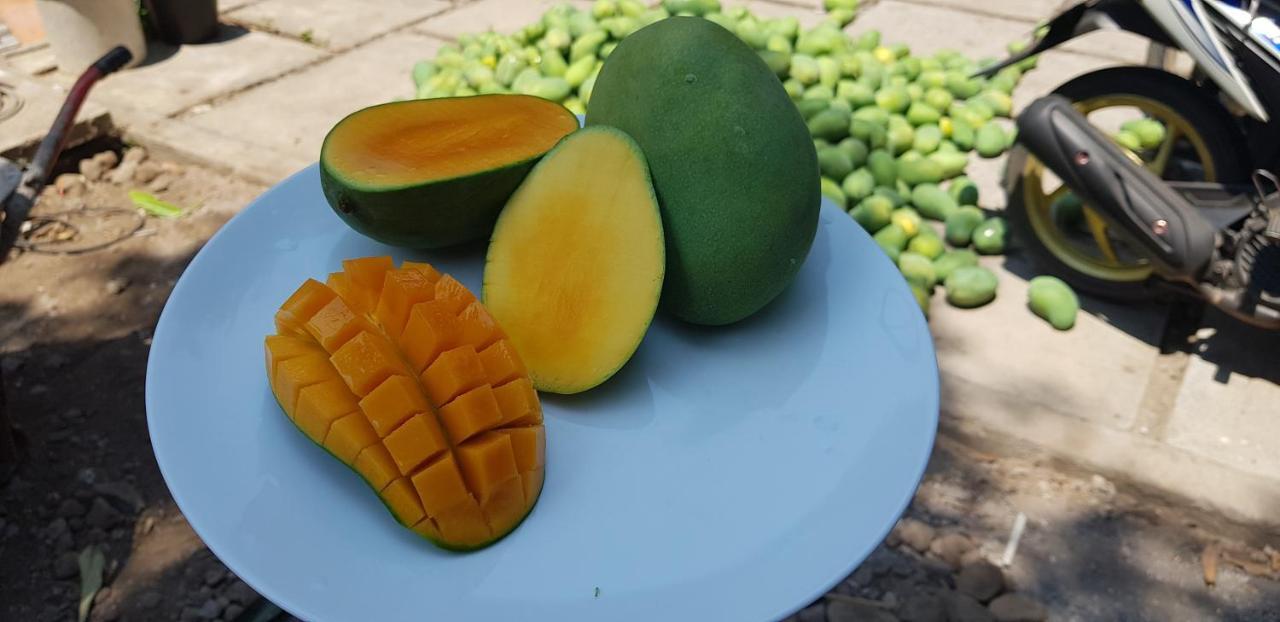 Mango Tree Inn Pemuteran Eksteriør billede